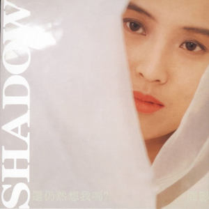 南阳路灯厂家用小鸭营销导航
