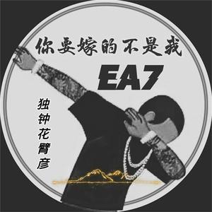 南阳路灯厂家用小鸭营销导航
