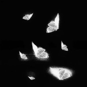 南阳路灯厂家用小鸭营销导航
