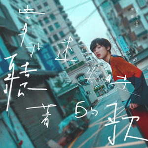 南阳路灯厂家用小鸭营销导航
