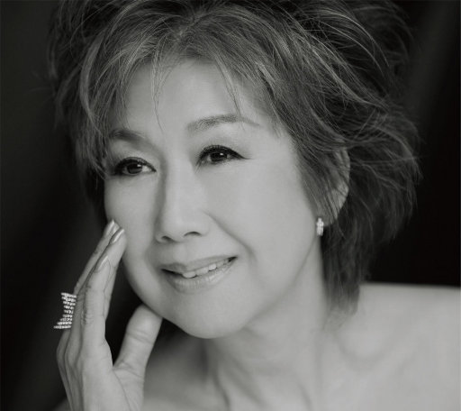 南阳路灯厂家用小鸭营销导航
